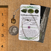 Libyan Desert Glass & Moldavite Necklace Sterling #8403-Moldavite Life