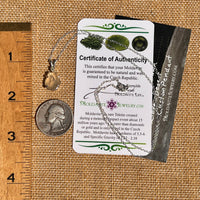 Libyan Desert Glass & Moldavite Necklace Sterling #8404-Moldavite Life