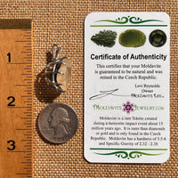 Libyan Desert Glass & Moldavite Pendant Sterling #7545-Moldavite Life