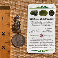Libyan Desert Glass & Moldavite Pendant Sterling #7546-Moldavite Life