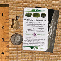 Libyan Desert Glass & Moldavite Pendant Sterling #8408-Moldavite Life