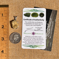 Libyan Desert Glass & Moldavite Pendant Sterling #8409-Moldavite Life