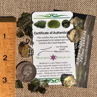 Libyan Desert Glass & Moldavite Pendant Sterling #8928-Moldavite Life