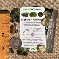 Libyan Desert Glass & Moldavite Pendant Sterling #8930-Moldavite Life