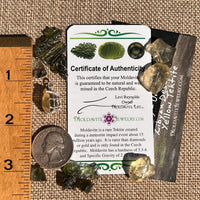 Libyan Desert Glass & Moldavite Pendant Sterling #8933-Moldavite Life