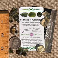 Libyan Desert Glass & Moldavite Pendant Sterling #8934-Moldavite Life