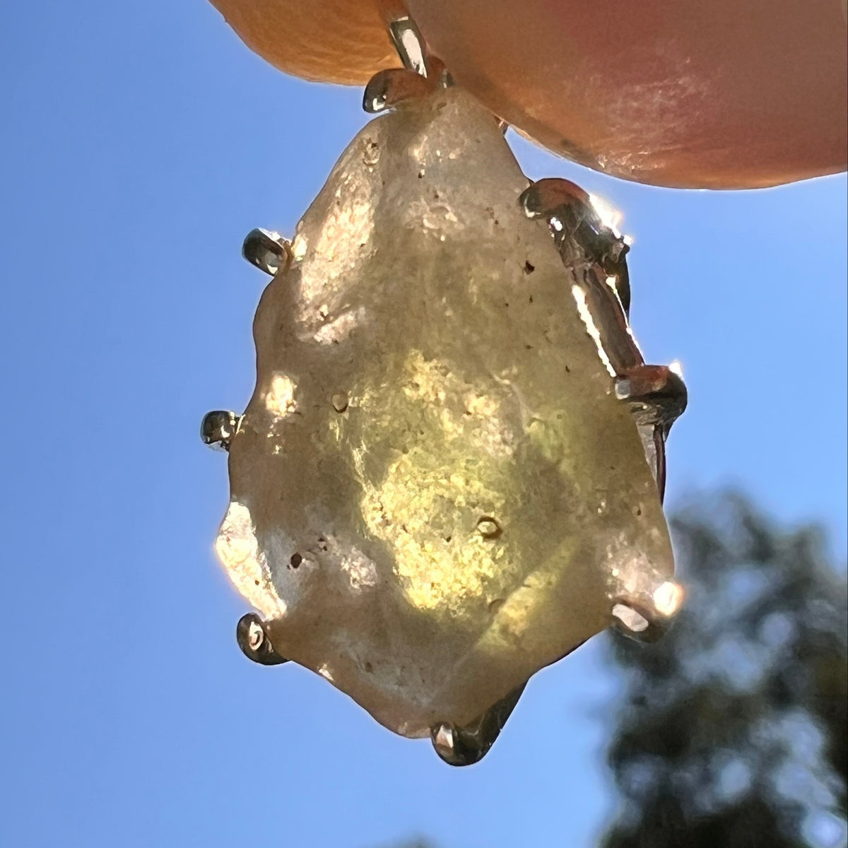 Libyan Desert Glass & Moldavite Pendant Sterling #8936-Moldavite Life