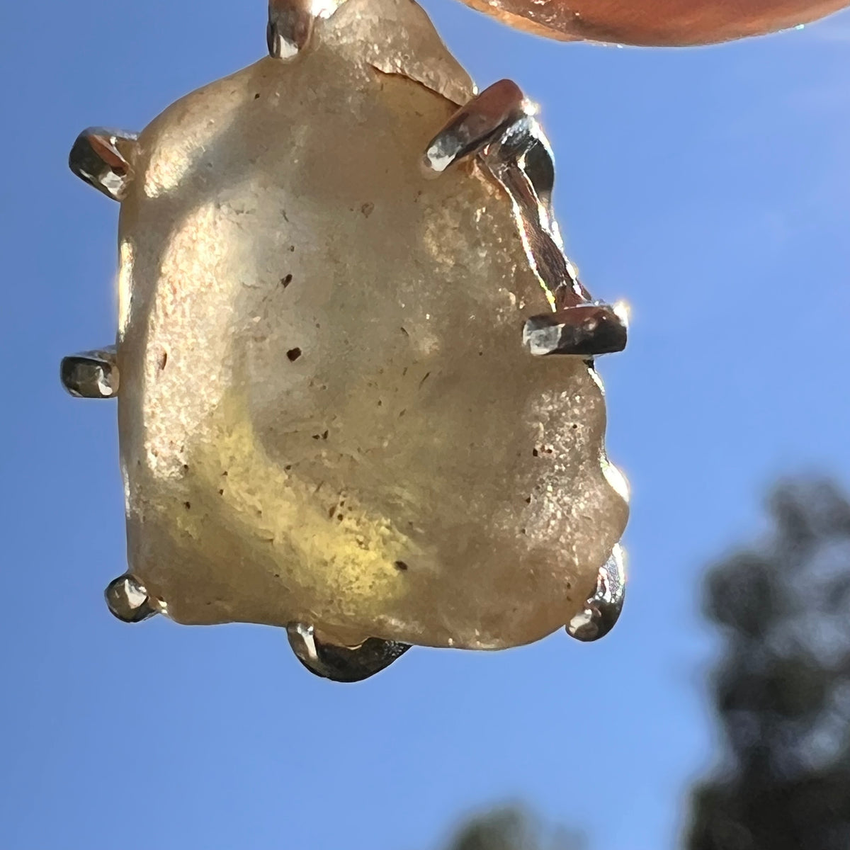 Libyan Desert Glass & Moldavite Pendant Sterling #8937-Moldavite Life
