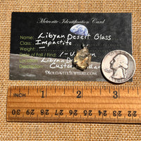 Libyan Desert Glass Pendant Sterling Silver #8327-Moldavite Life