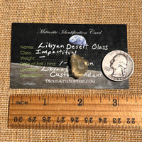 Libyan Desert Glass Pendant Sterling Silver #8339-Moldavite Life