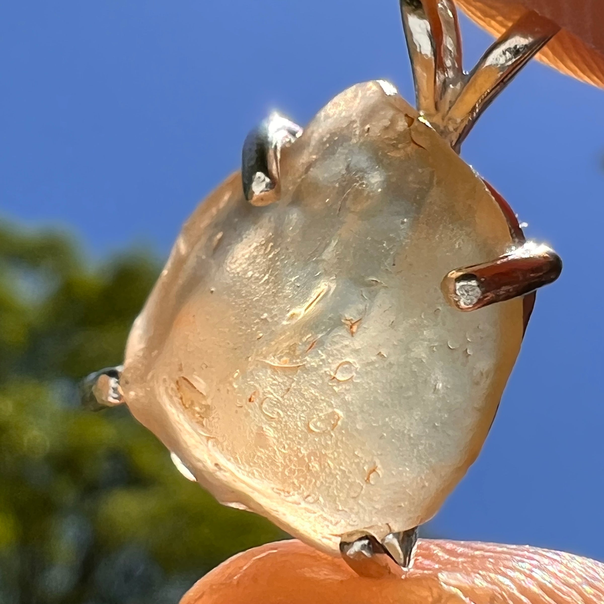 Libyan Desert Glass Pendant Sterling Silver #8347-Moldavite Life