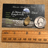 Libyan Desert Glass Pendant Sterling Silver #8376-Moldavite Life