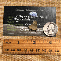 Libyan Desert Glass Pendant Sterling Silver #8377-Moldavite Life