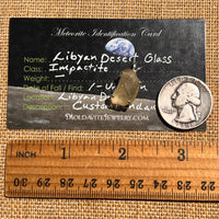 Libyan Desert Glass Pendant Sterling Silver #8378-Moldavite Life