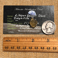 Libyan Desert Glass Pendant Sterling Silver #8379-Moldavite Life