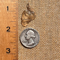 Libyan Desert Glass Wire Wrapped Pendant 14k GF #8299-Moldavite Life