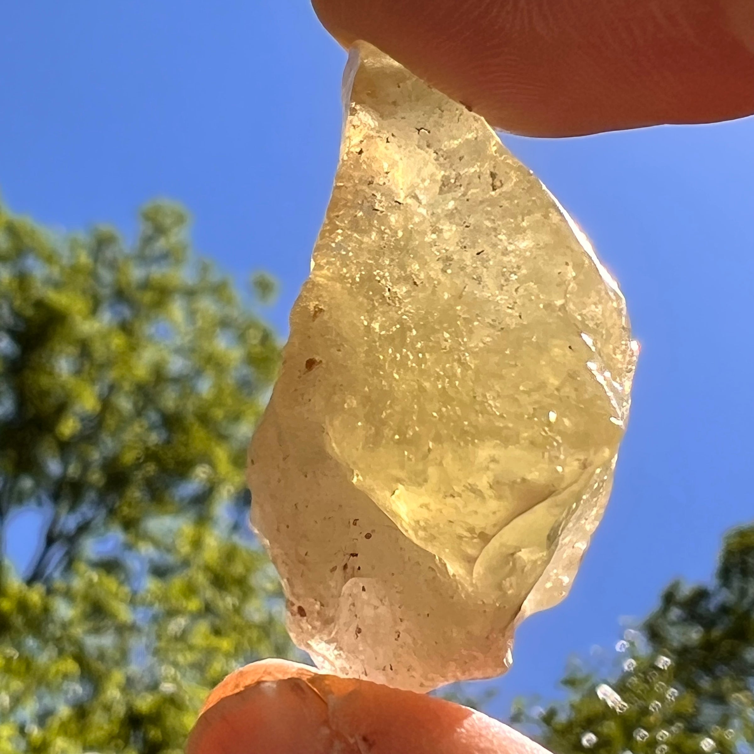 Libyan Desert Glass w/ Cristobalite 13.3 grams #509-Moldavite Life