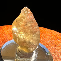 Libyan Desert Glass w/ Cristobalite 5.6 grams #524-Moldavite Life