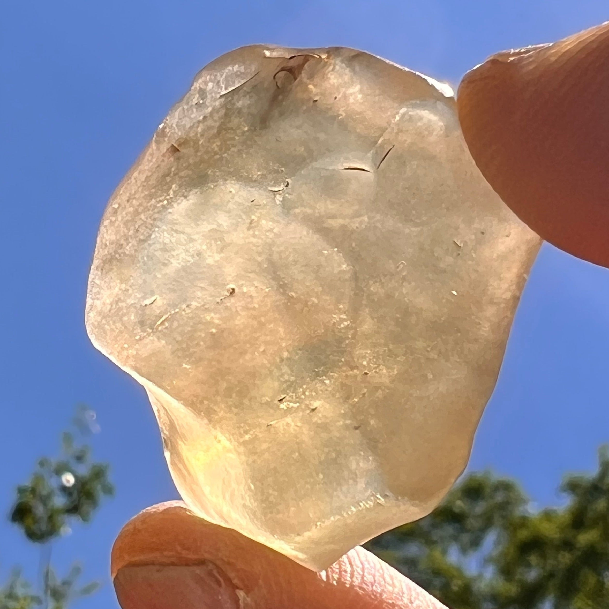 Libyan Desert Glass w/ Schlieren 11.5 grams #526-Moldavite Life