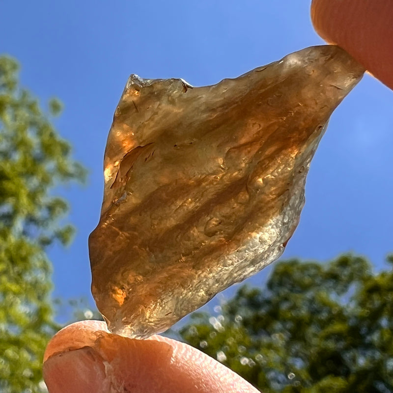 Libyan Desert Glass w/ Schlieren 7.7 grams #523-Moldavite Life