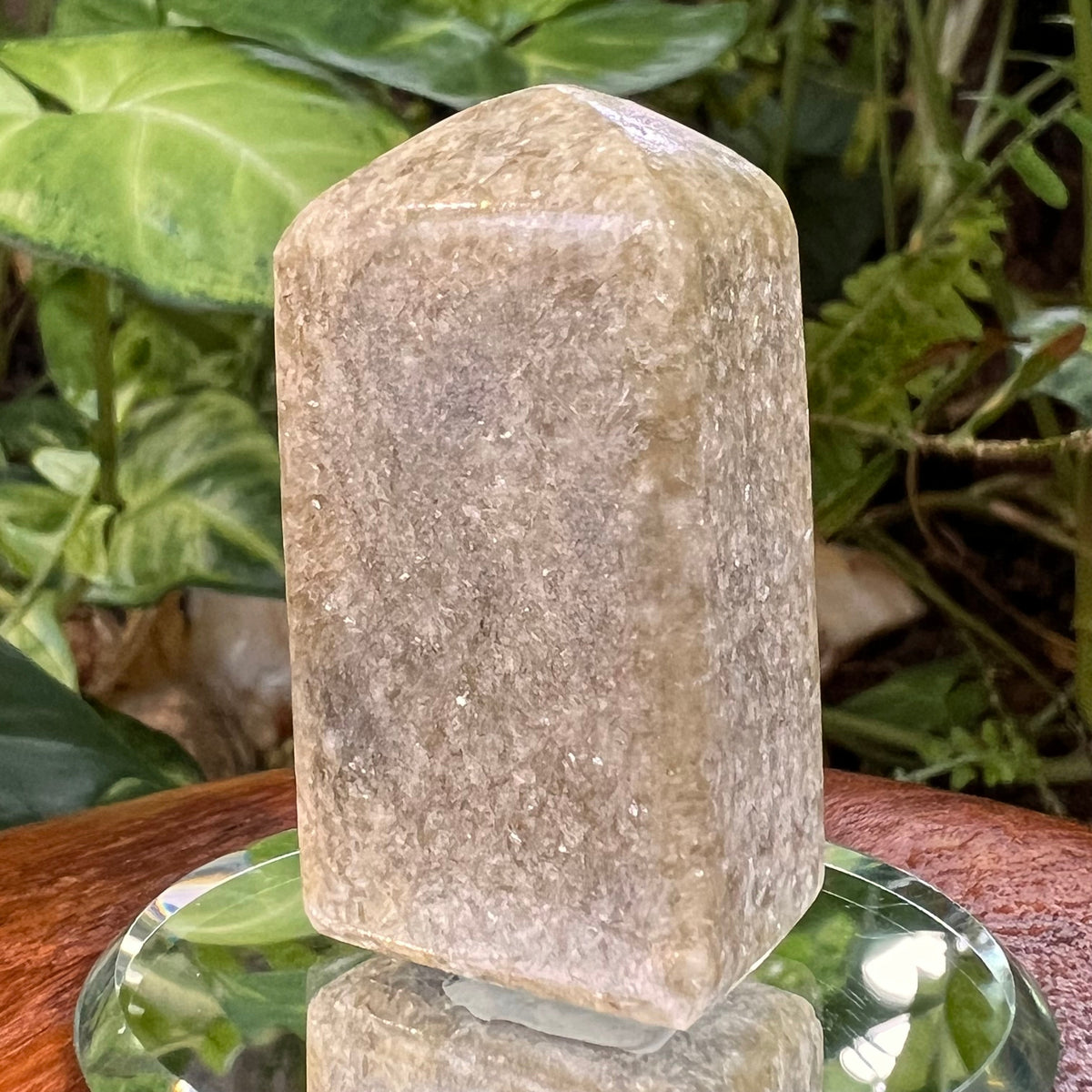 Alienite Stone Luna Euphoralite Black Hills, South Dakota | Moldavite Life