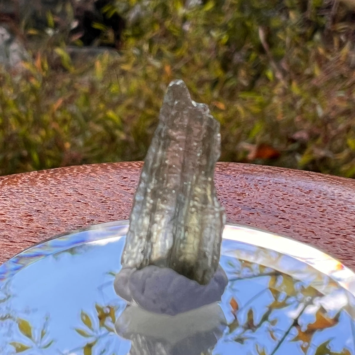 Moldavite 0.3 grams #2228-Moldavite Life