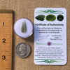 Moldavite 0.3 grams #2228-Moldavite Life