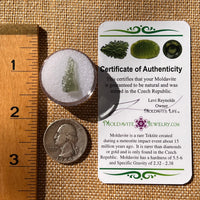 Moldavite 0.3 grams #2235-Moldavite Life