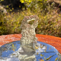 Moldavite 0.3 grams Natural Hole #2246-Moldavite Life