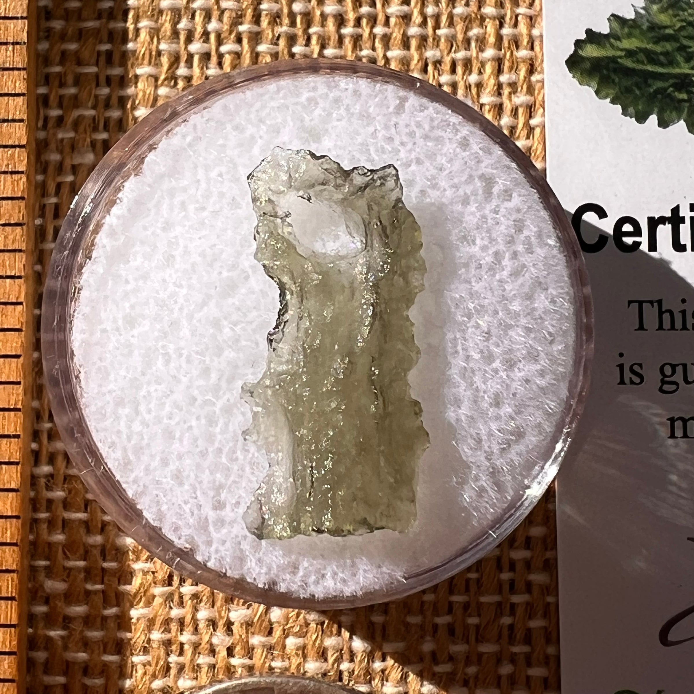 Moldavite 0.3 grams Natural Hole #2246-Moldavite Life