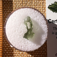 Moldavite 0.3 grams Natural Hole #2295-Moldavite Life