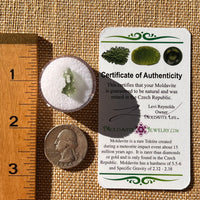 Moldavite 0.3 grams Natural Hole #2295-Moldavite Life