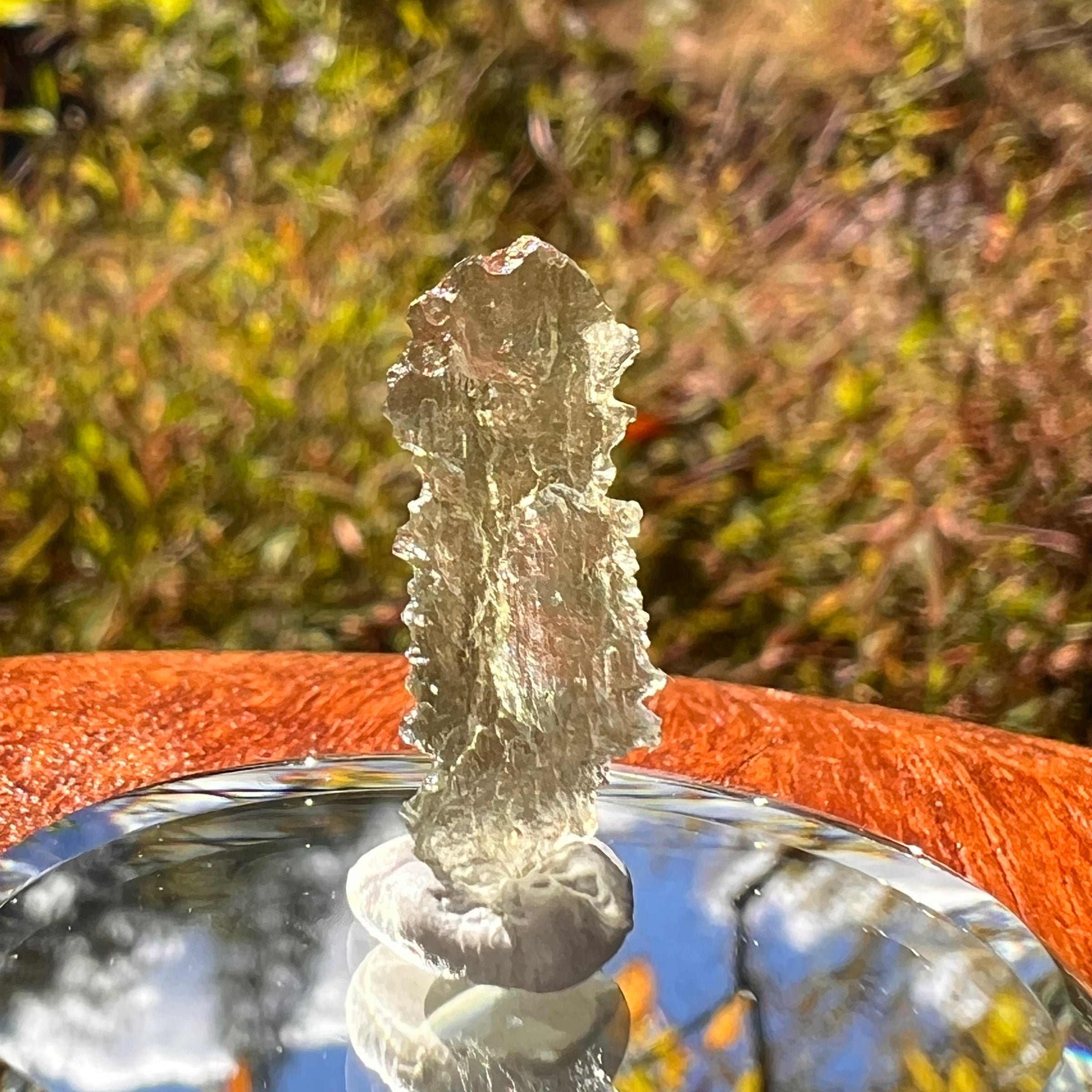 Moldavite 0.4 grams #2226-Moldavite Life