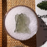 Moldavite 0.4 grams #2234-Moldavite Life