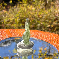 Moldavite 0.4 grams #2242-Moldavite Life