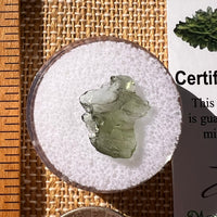 Moldavite 0.4 grams #2242-Moldavite Life