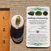 Moldavite 0.5 grams #1994-Moldavite Life