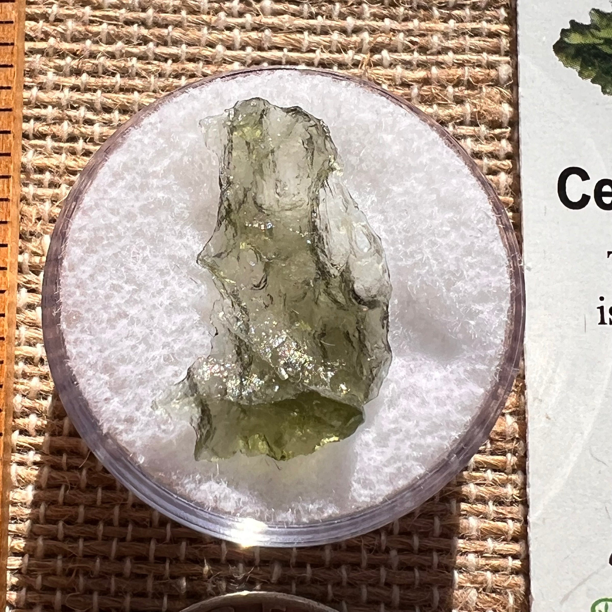 Moldavite 0.5 grams #1995-Moldavite Life