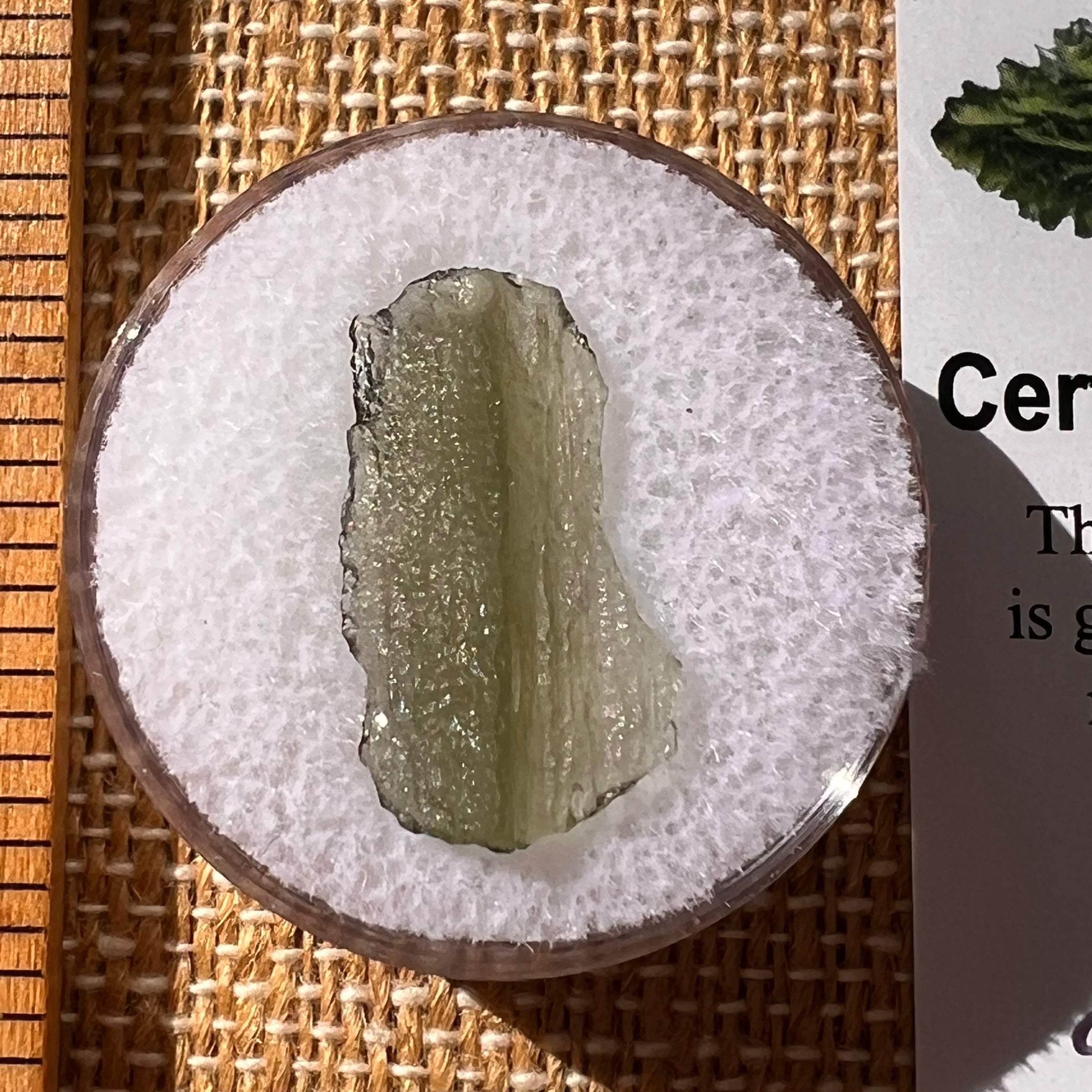 Moldavite 0.5 grams #2224-Moldavite Life