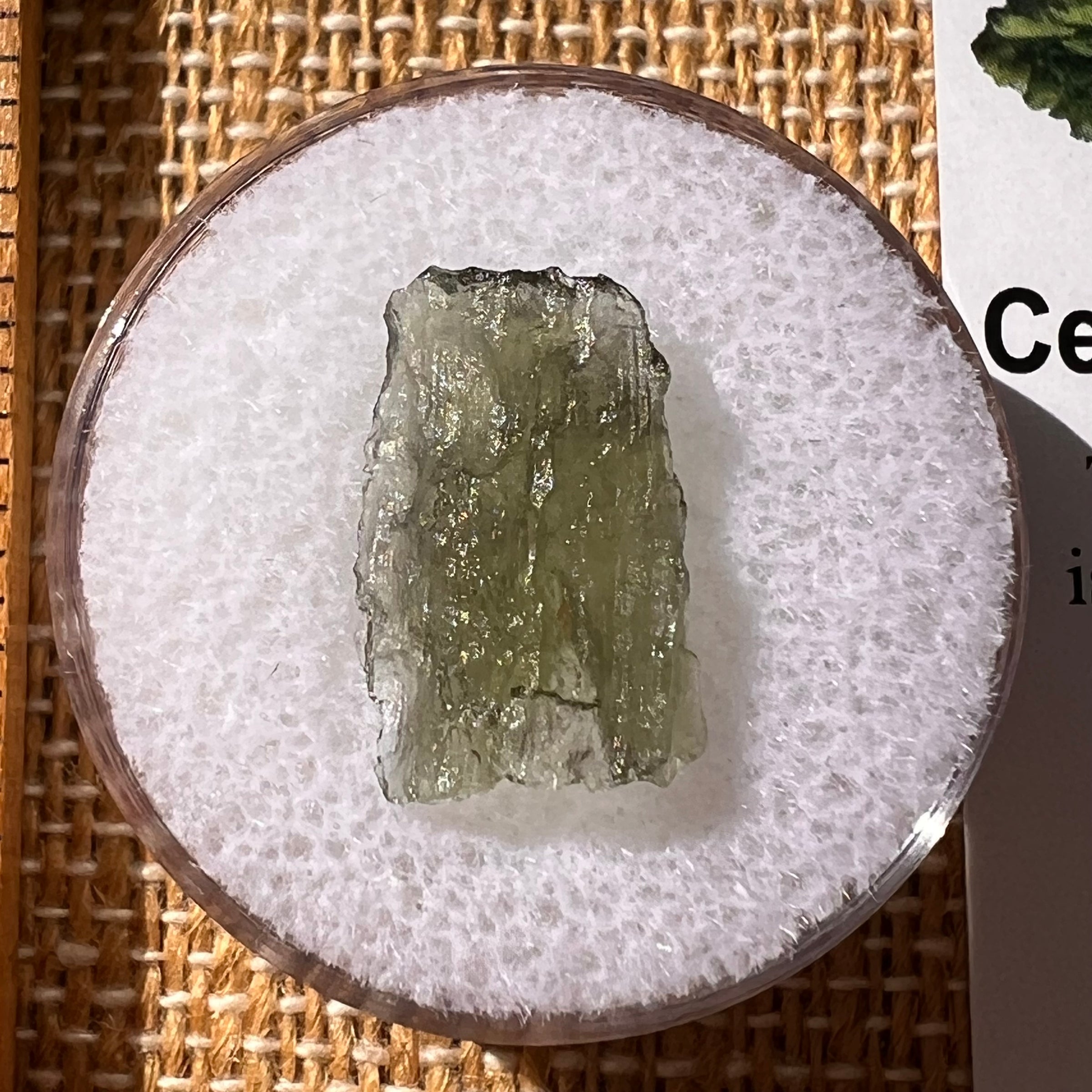 Moldavite 0.5 grams #2225-Moldavite Life
