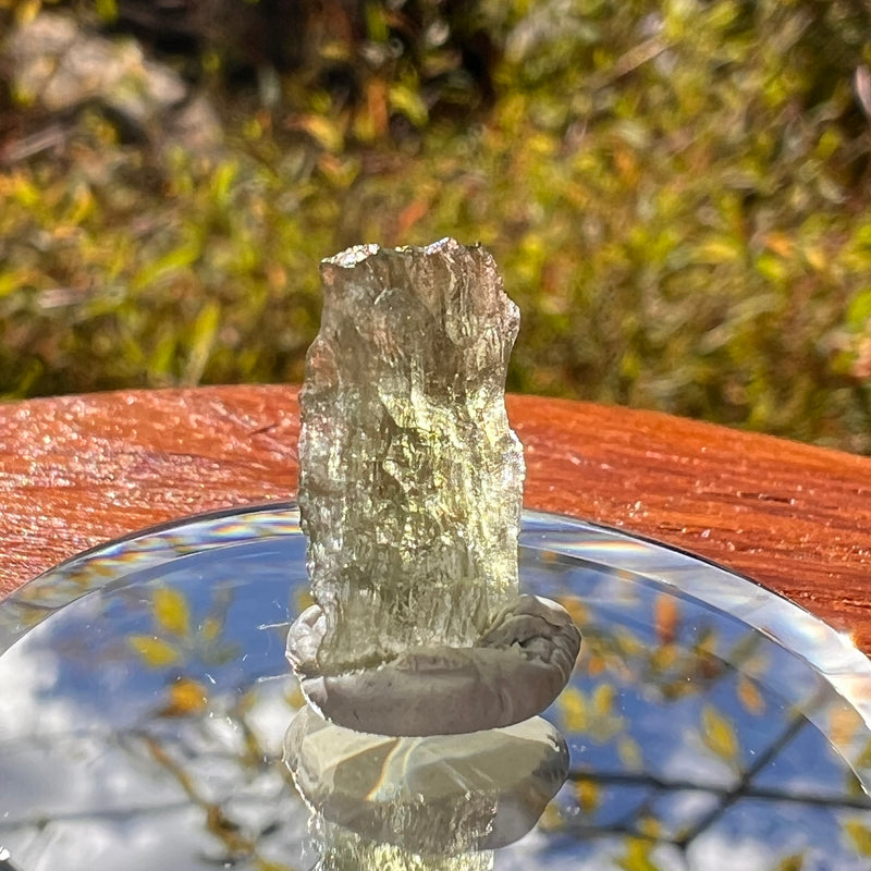 Moldavite 0.5 grams #2225-Moldavite Life
