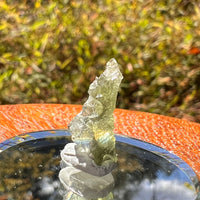 Moldavite 0.5 grams #2232-Moldavite Life