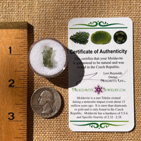 Moldavite 0.5 grams #2232-Moldavite Life