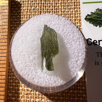 Moldavite 0.5 grams #2237-Moldavite Life