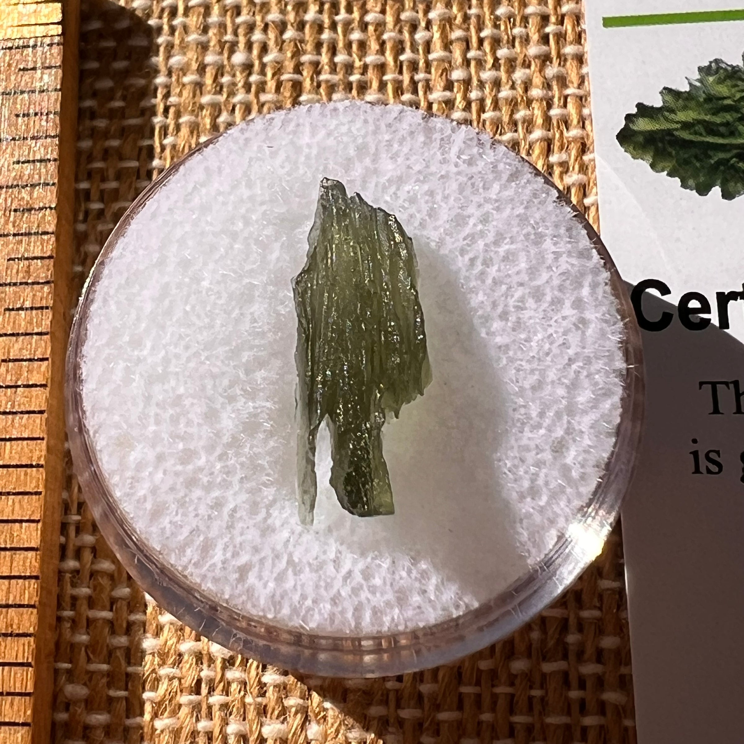 Moldavite 0.5 grams #2237-Moldavite Life