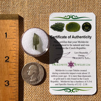Moldavite 0.5 grams #2237-Moldavite Life