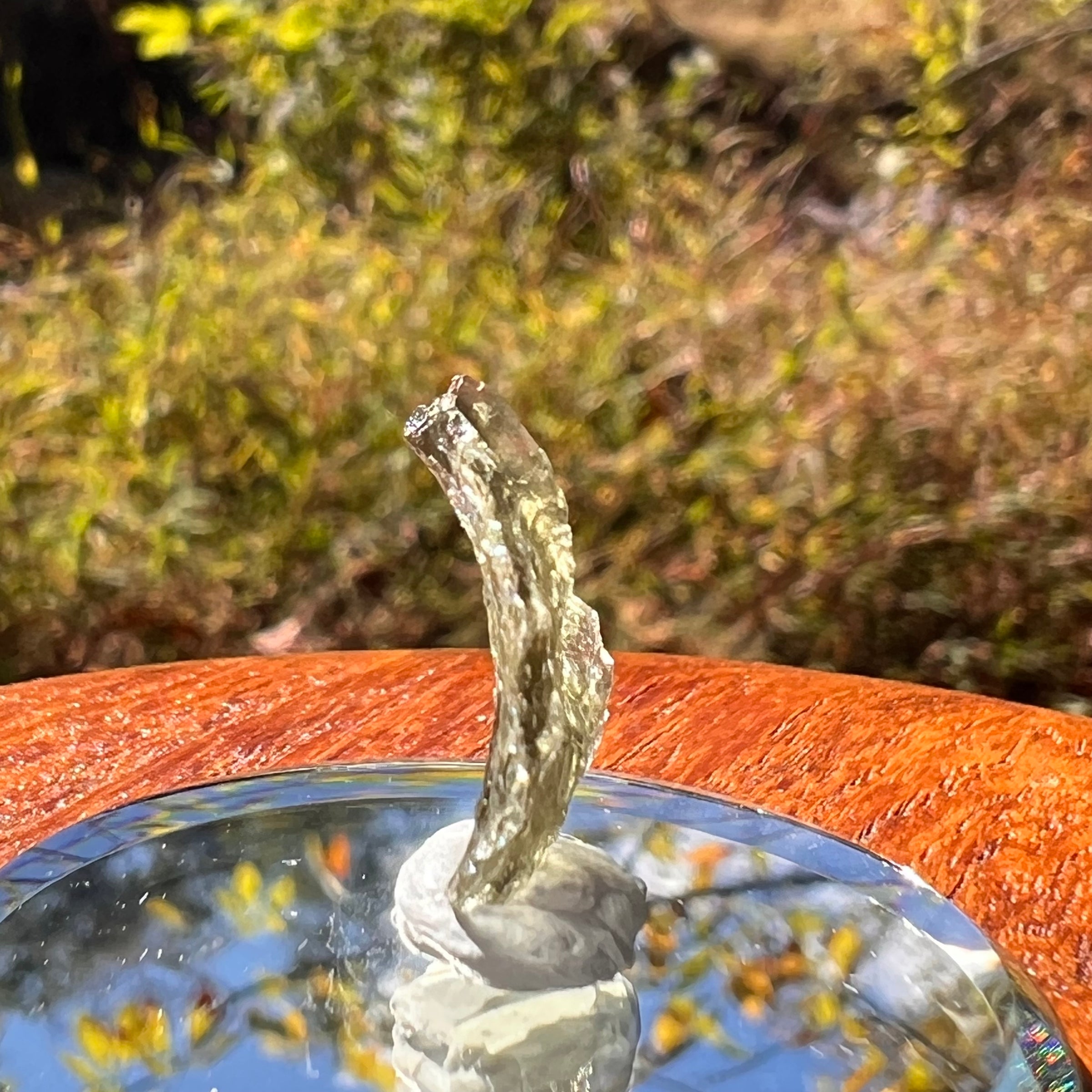 Moldavite 0.5 grams #2245-Moldavite Life
