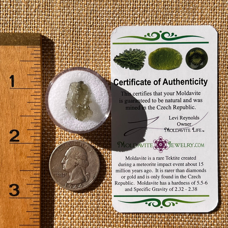 Moldavite 0.5 grams #2245-Moldavite Life