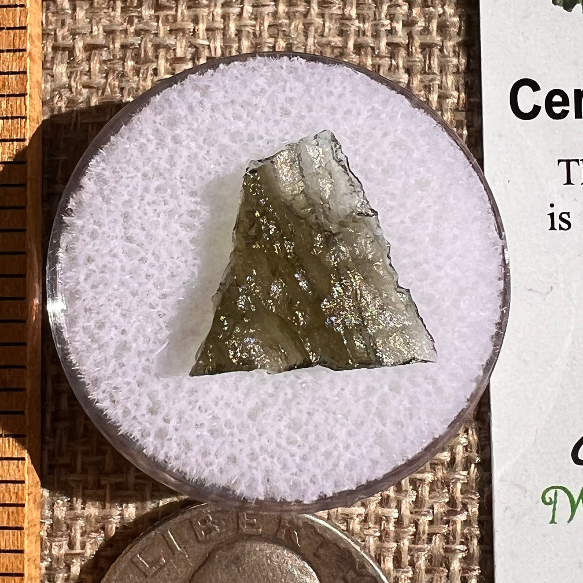 Moldavite 0.5 grams #2349-Moldavite Life
