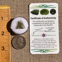 Moldavite 0.5 grams #2349-Moldavite Life